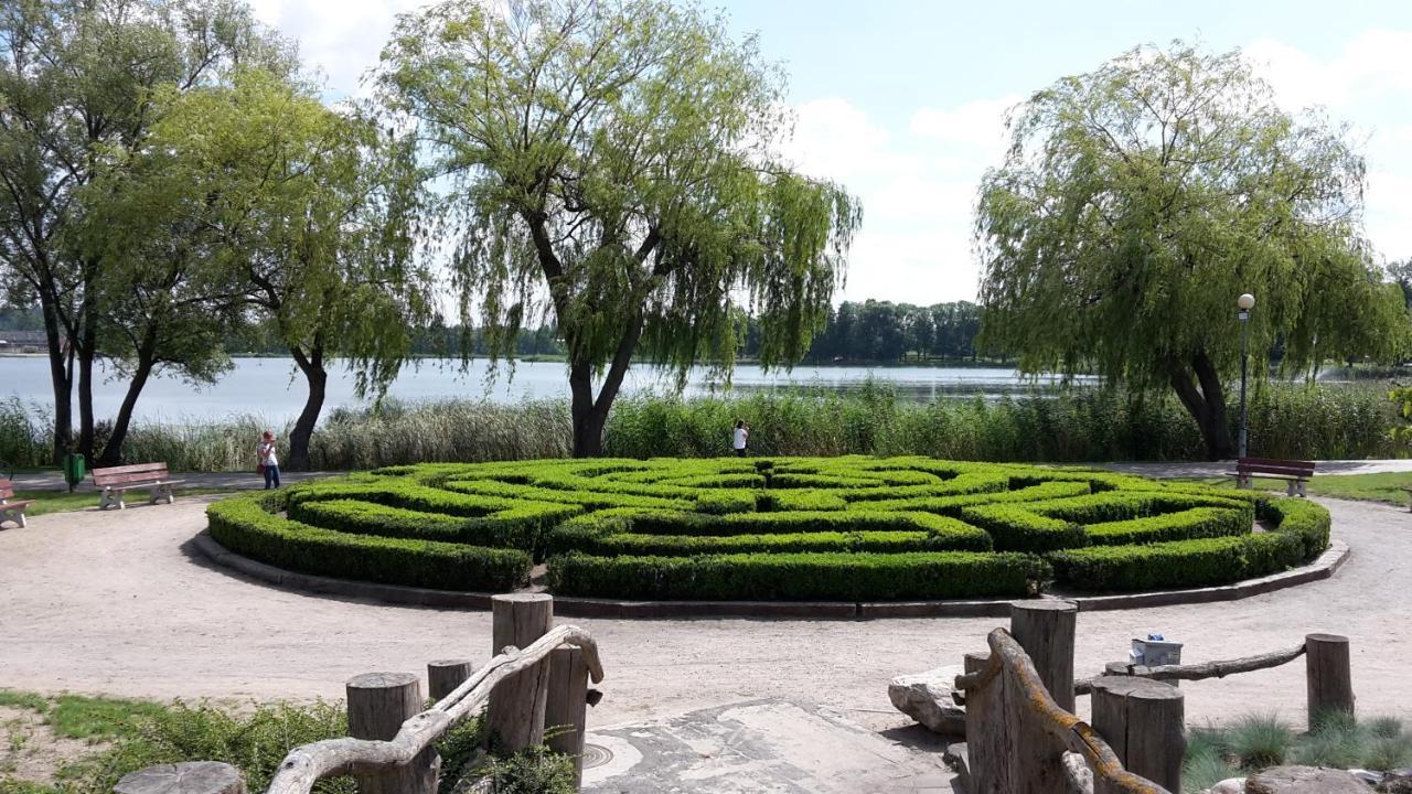 Agroturystyka Polana Harmonii Przytoczna Exterior foto