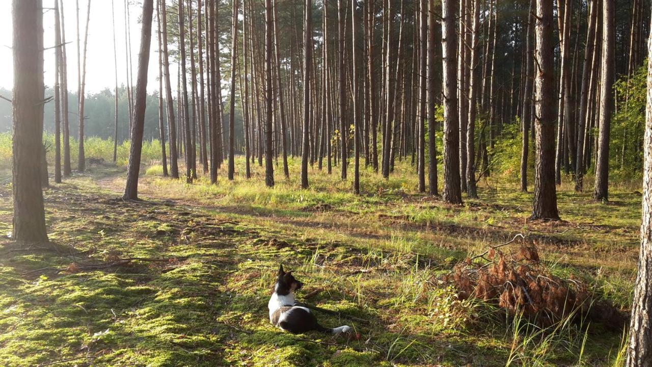 Agroturystyka Polana Harmonii Przytoczna Exterior foto